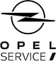 Opel bei Wilhelmsen